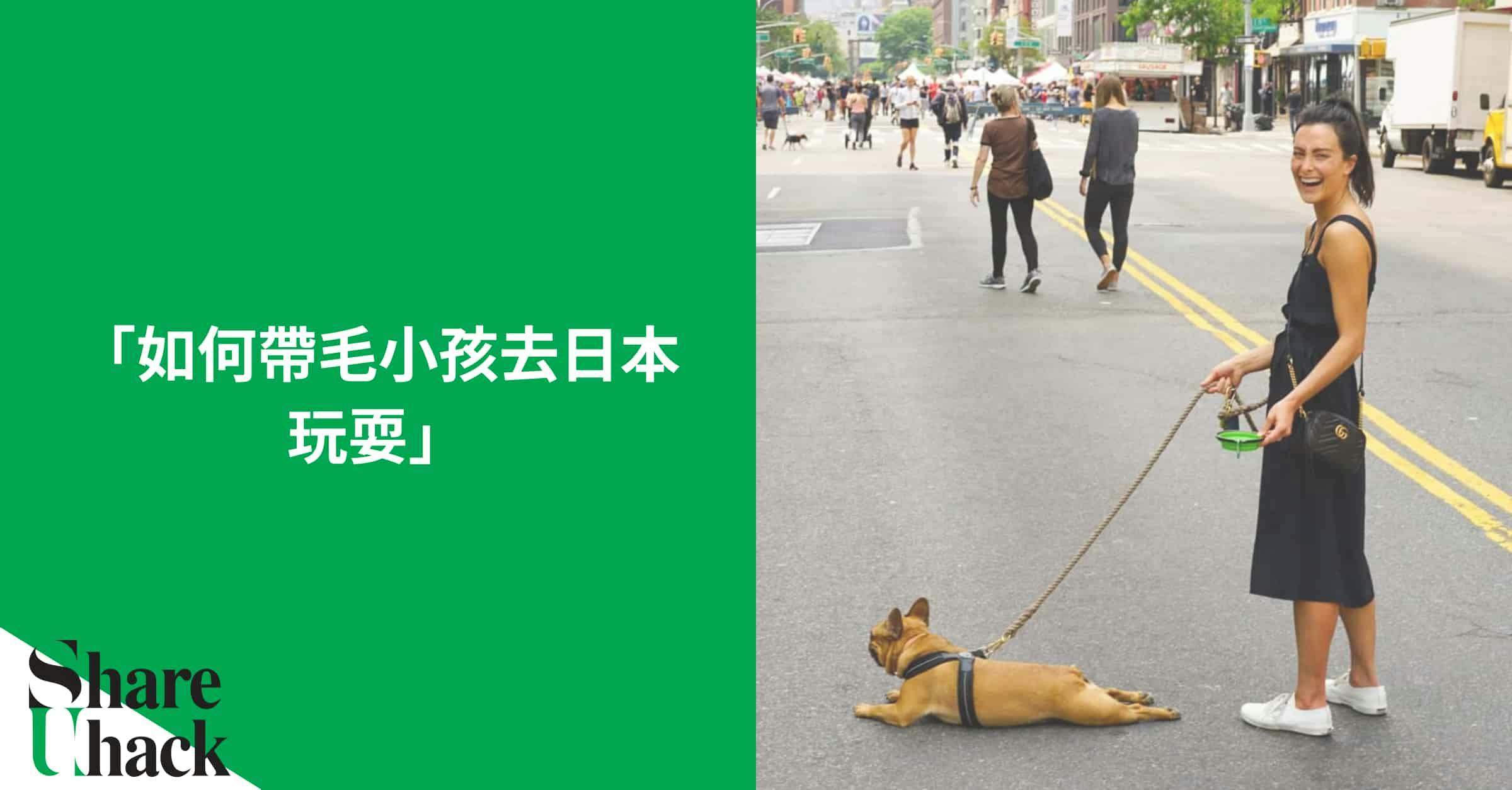 在防檢局的輸出犬貓注意事項中有明確說明「輸出犬貓應符合輸入國之規定」，因為台灣目前屬於狂犬病疫區國家，若要帶毛小孩前往像日本這些非狂犬病疫區國家需要比較多的事前準備及待機時間。此篇文章詳列帶毛小孩去日本的必要步驟：